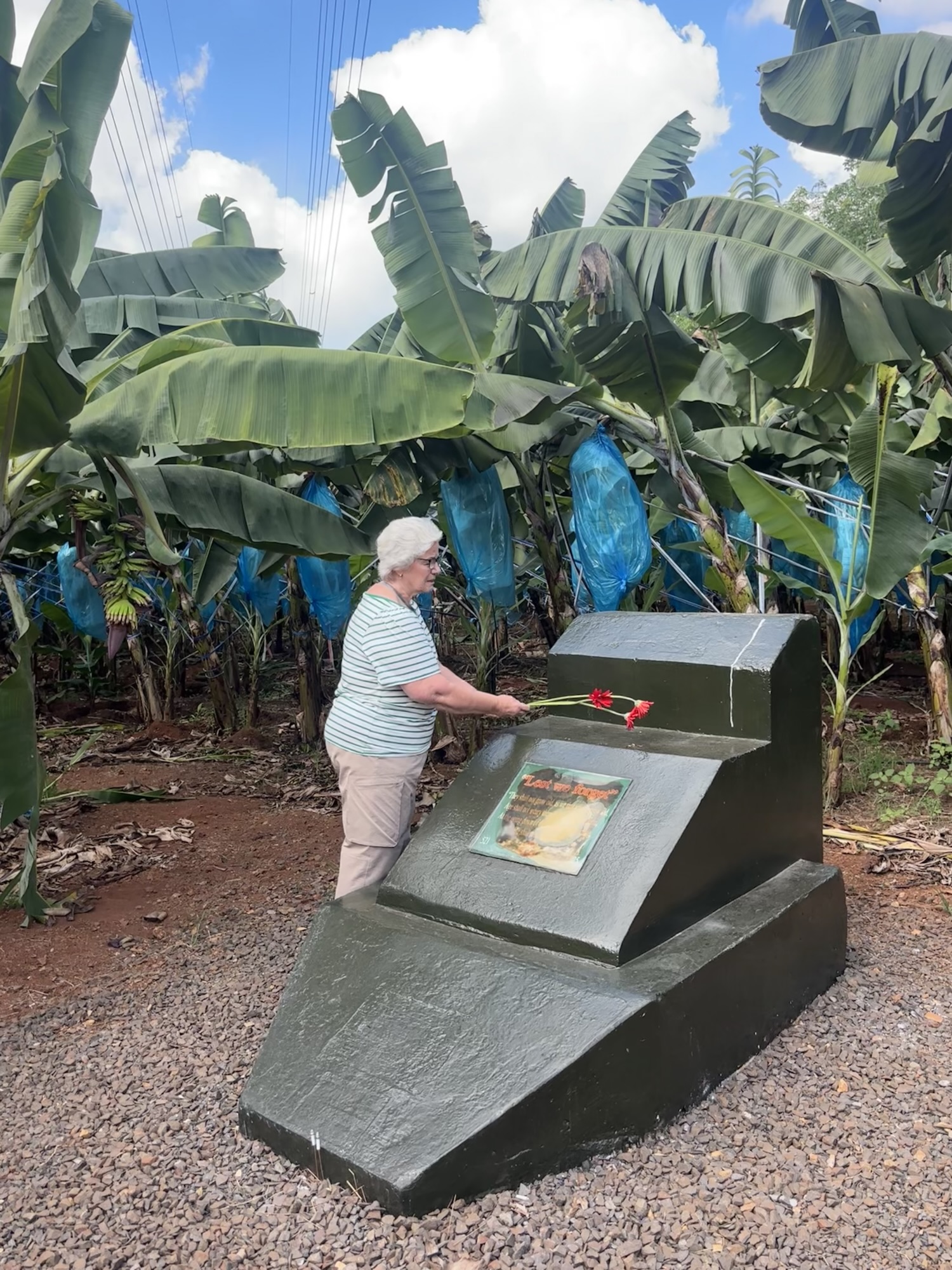 Facing Vietnam: A Veteran’s Widow Returns